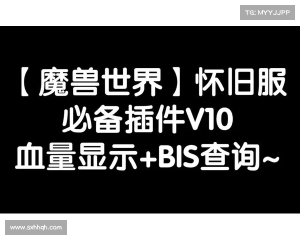 魔兽世界怀旧服：全新血量信息展示系统
